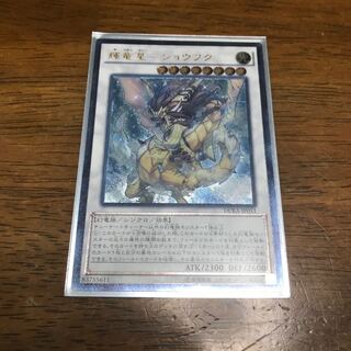 遊戯王 輝竜星 ショウフク レリーフ