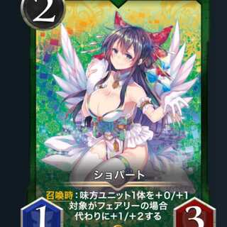 ショパート2枚 yさん専用