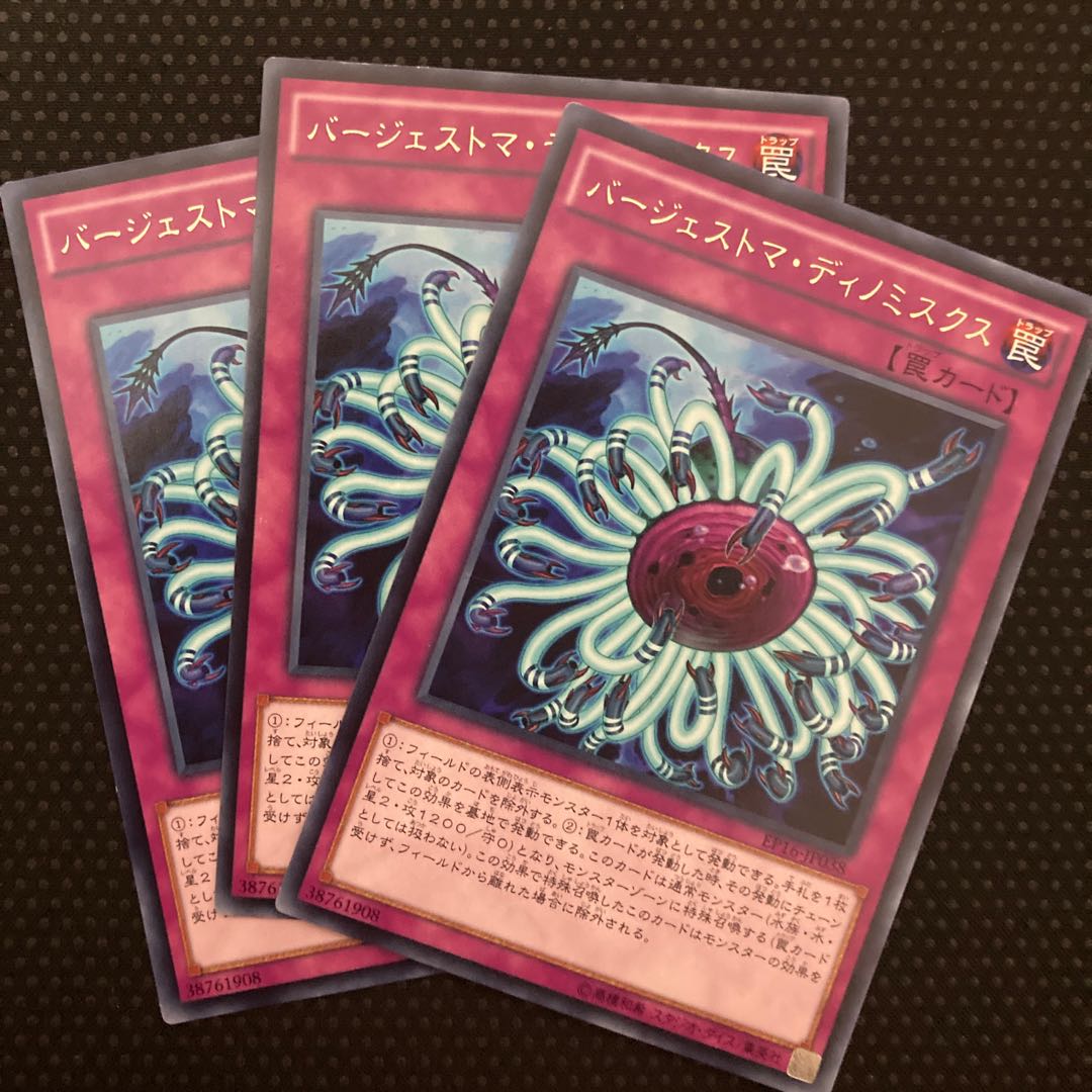 Paleozoic Dinomischus rare JP038