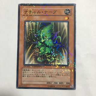 Naturia Vein Normal JP010 with a reason 1枚