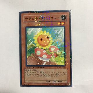 Naturia Sunflower Normal JP018 1枚