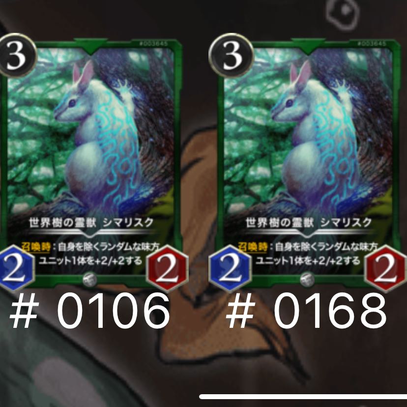 シマリスク2枚セット　明日までの出品