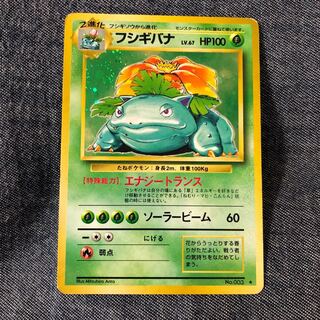 フシギバナ 旧裏