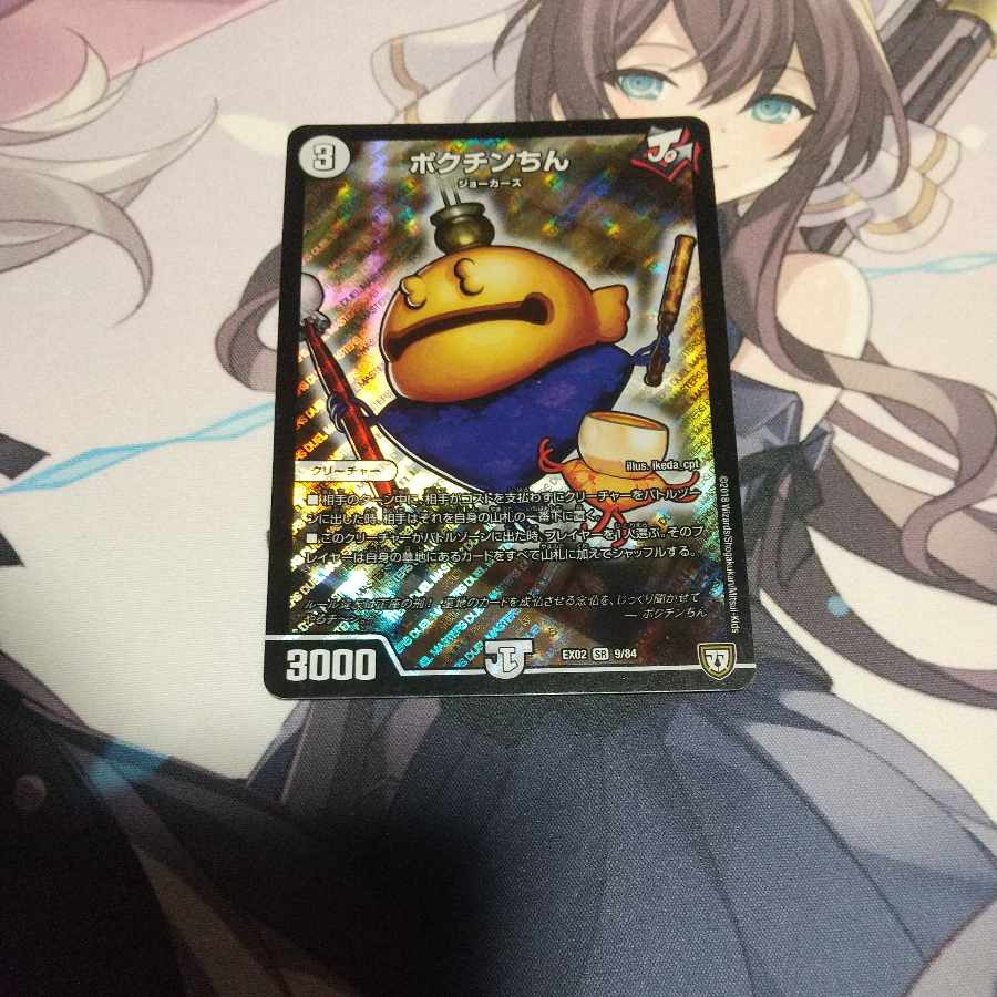 Pokuchin Chin SR 9/84