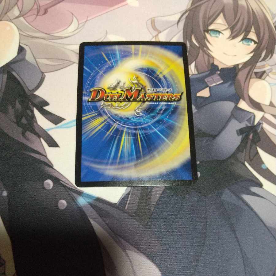 Pokuchin Chin SR 9/84