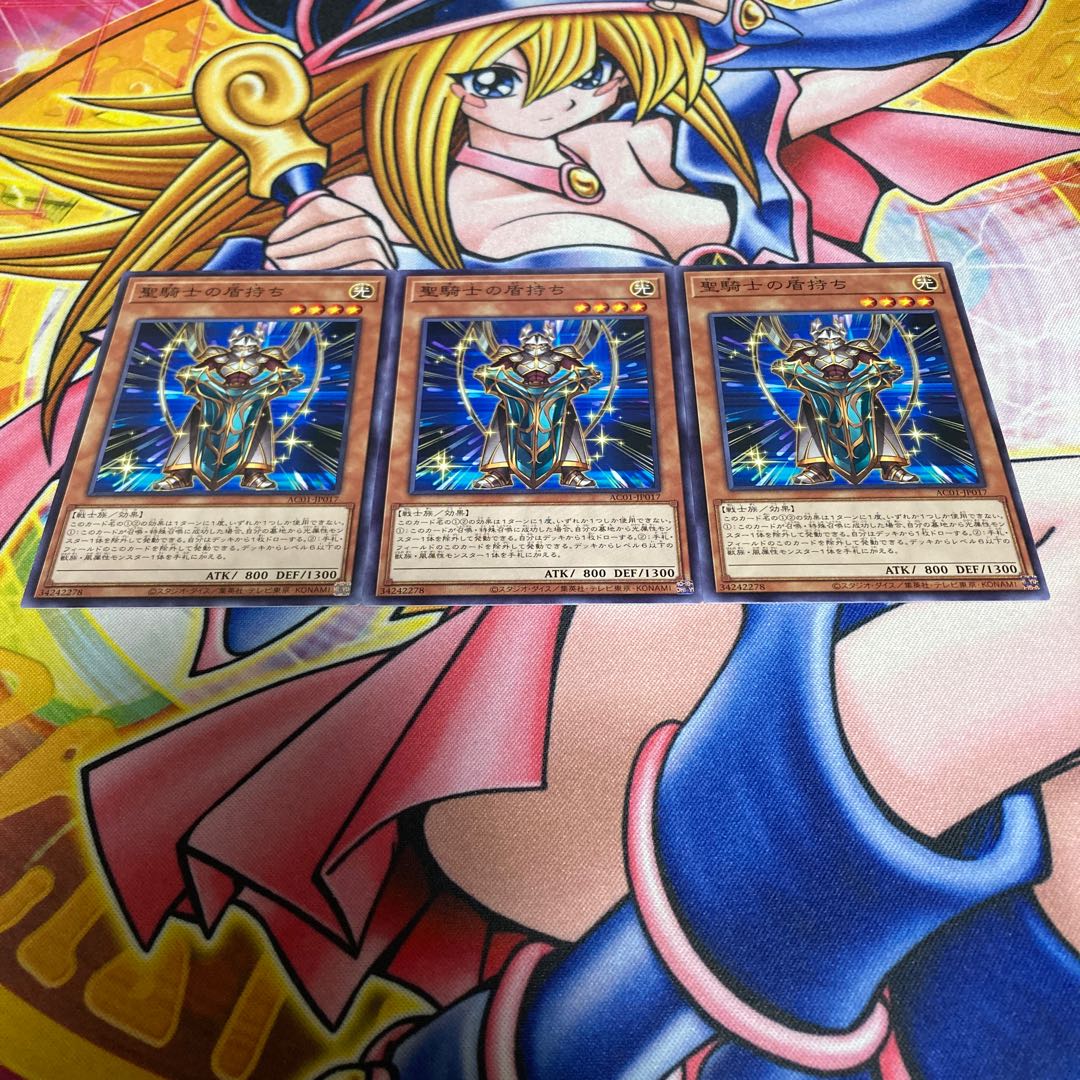 Noble Knight's Shield-Bearer Normal JP017