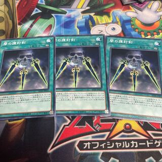 Swords of Concealing Light Normal JP032