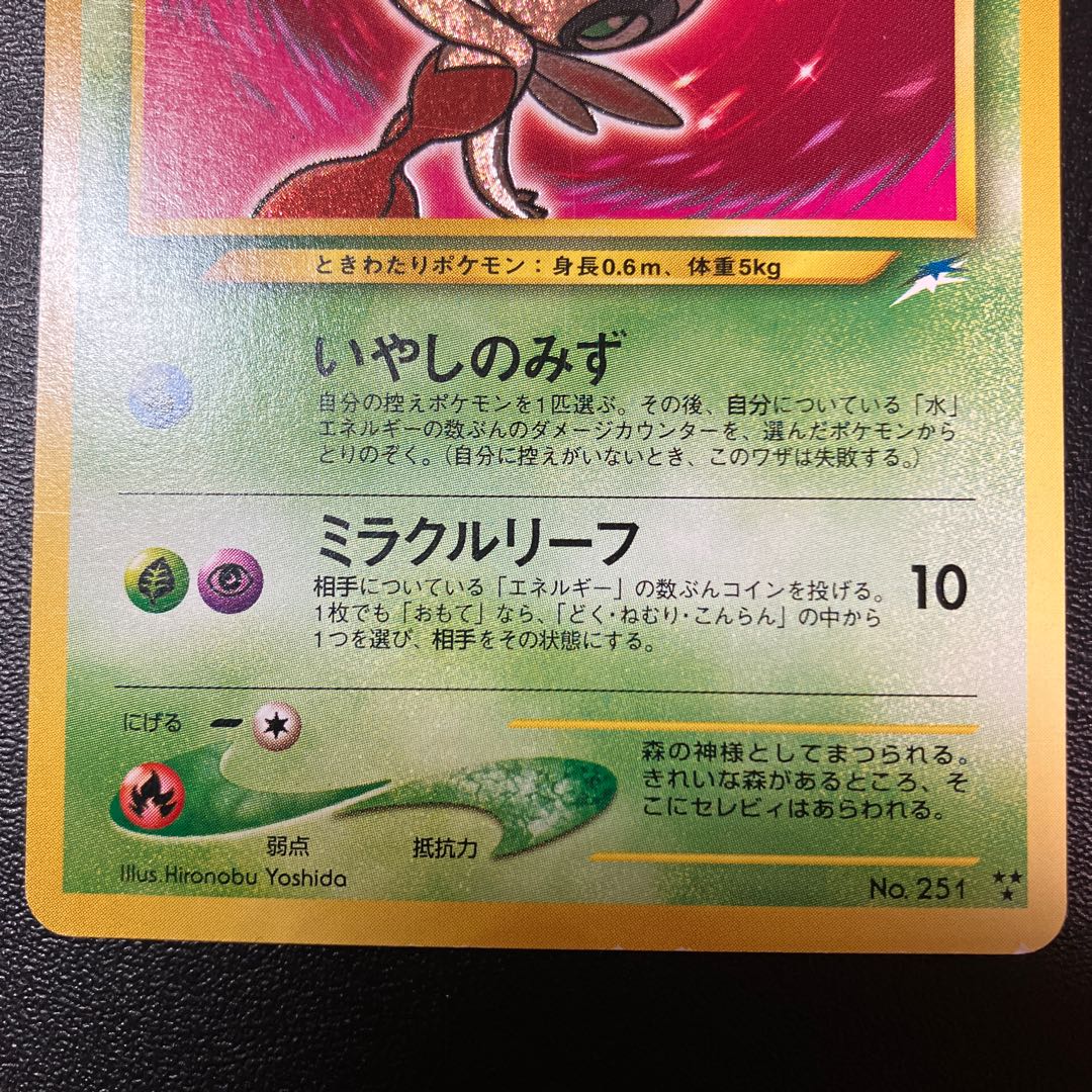 Hikaru Celebi Old Back ①