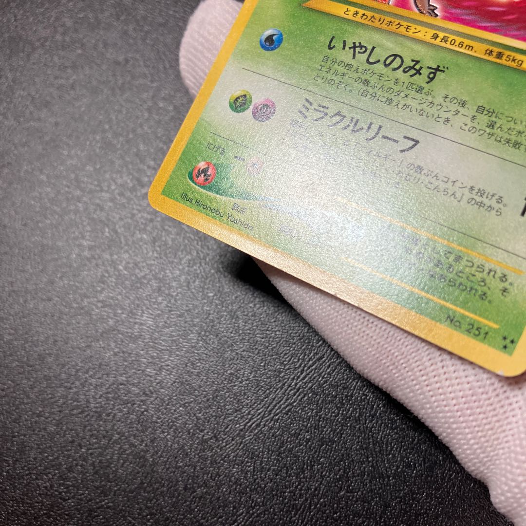 Hikaru Celebi Old Back ①