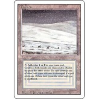 [EX]Tundra [English] [3ED].