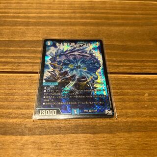 Waterjo Ninth Institute Shakogair SR with extras