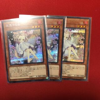 灰流うらら シク 3枚 レアコレ