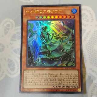 Ice Water Emperor Cosmo Chlore Ultra BACH-JP006