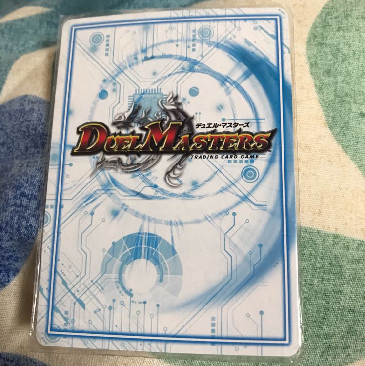 savactis (esp. the common savactis, Chistophthalmus sagittatus)