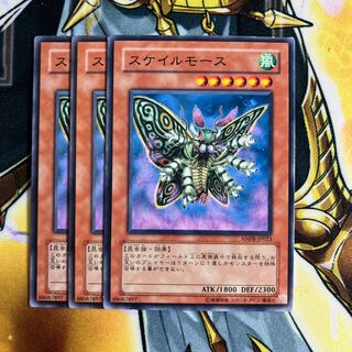 Scary Moth Normal JP023