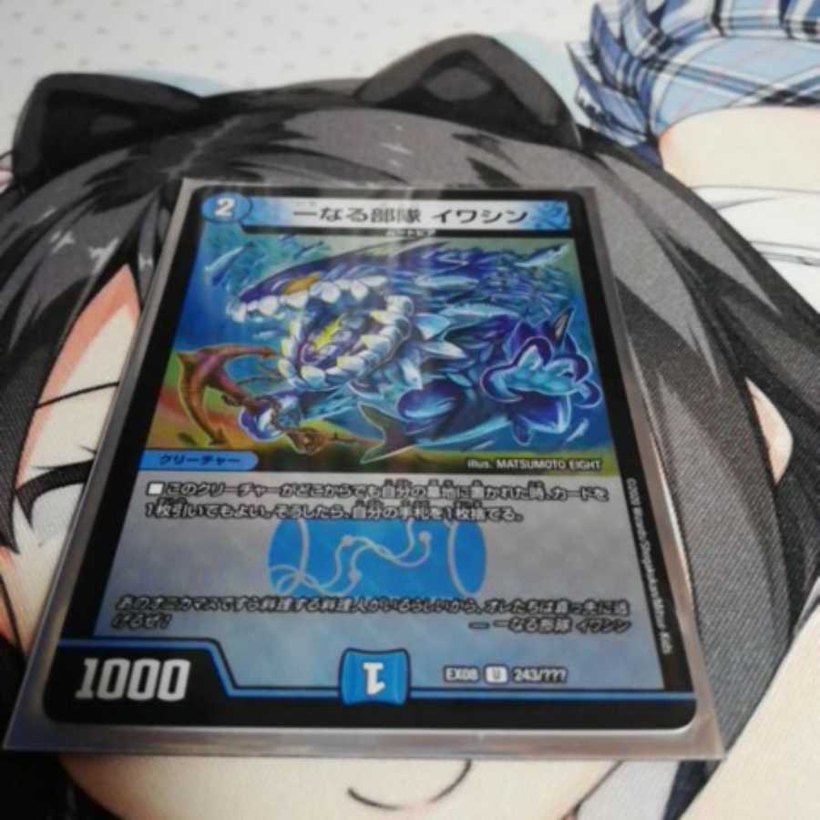 一なる部隊 イワシン ホイル版 専用