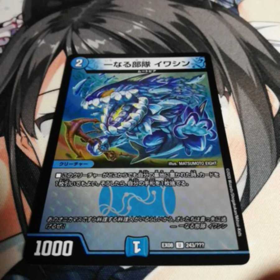 一なる部隊 イワシン ホイル版 専用