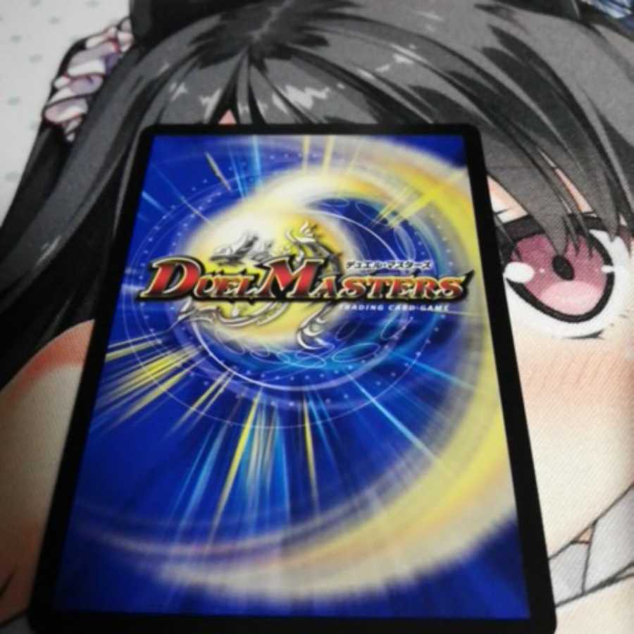 一なる部隊 イワシン ホイル版 専用