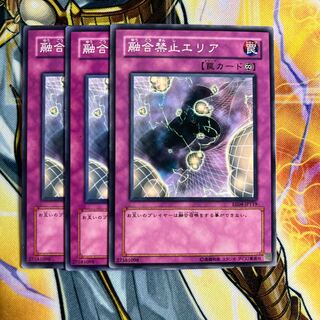 融合禁止エリア ノーマル JP119