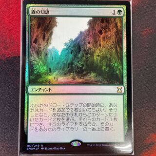 Sylvan Library Japanese foil EMA