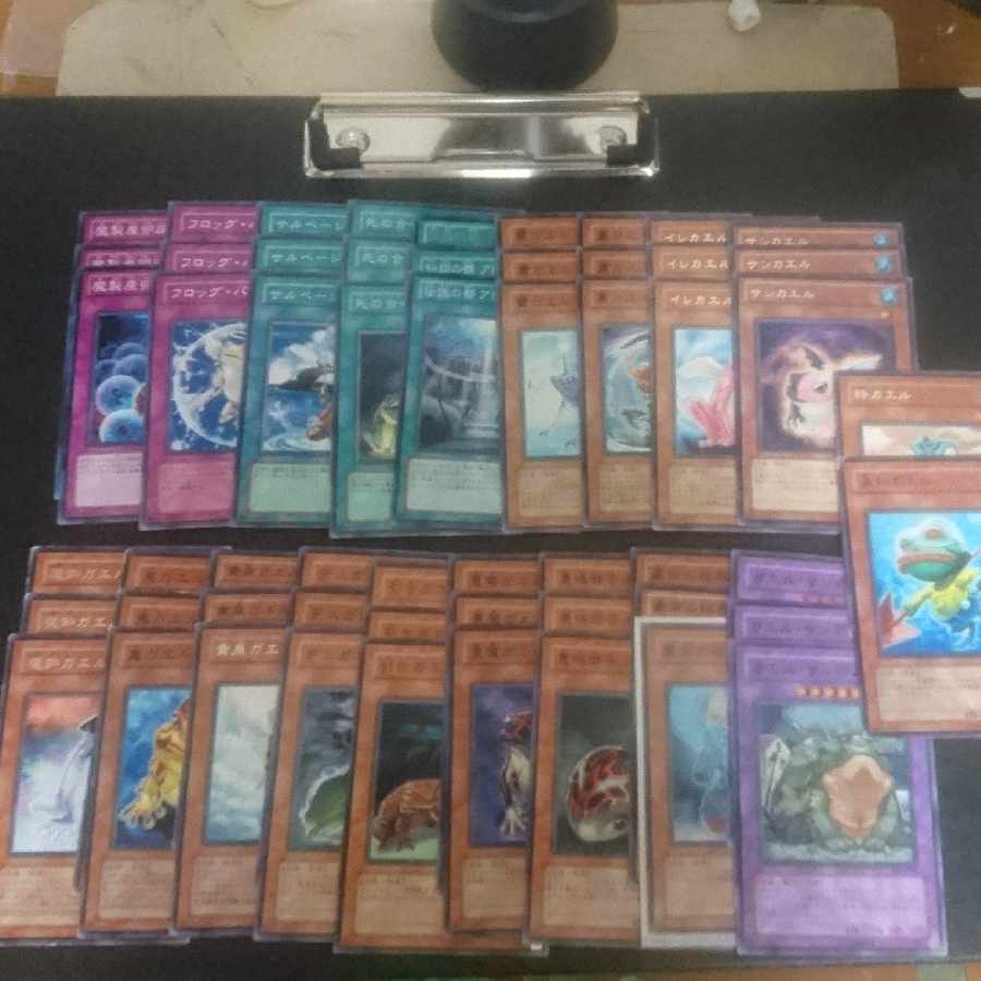 E12 bulk sale D.3.S. Frog Normal JP156