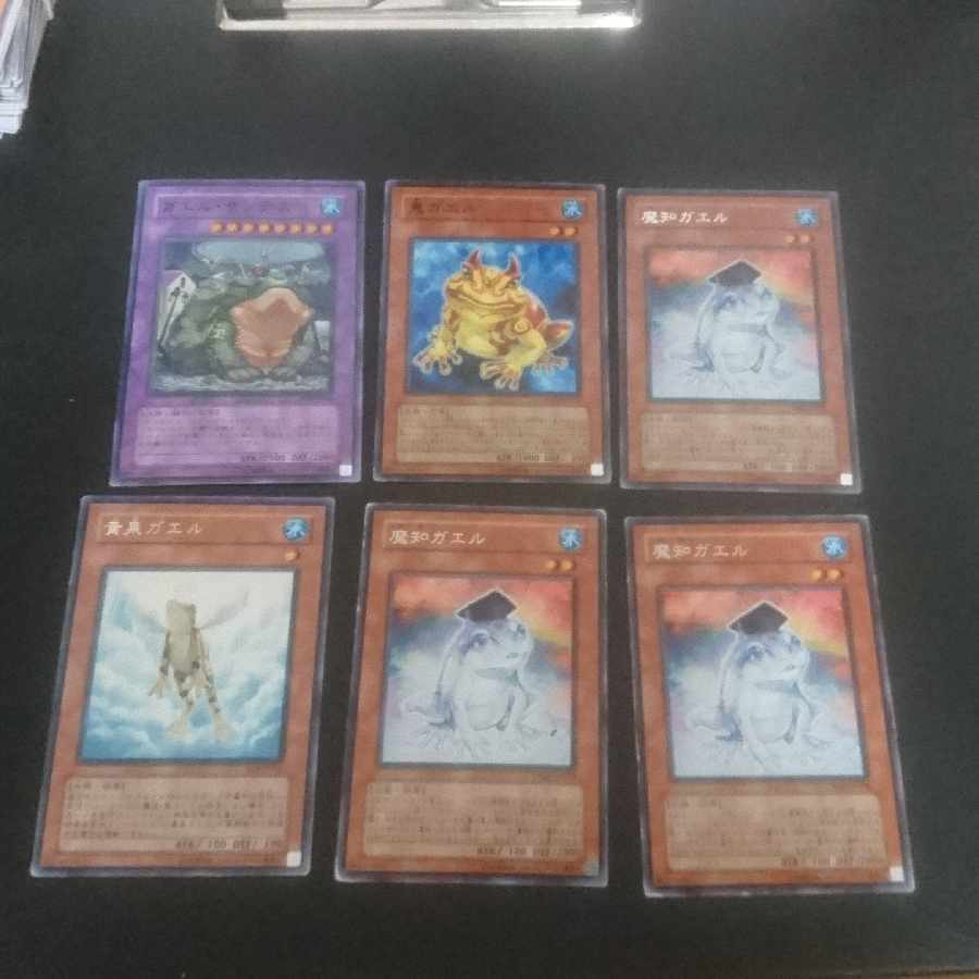 E12 bulk sale D.3.S. Frog Normal JP156