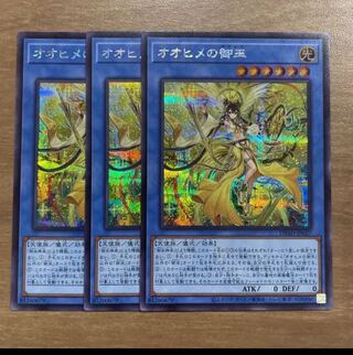 Ohime no Gomiko Secret