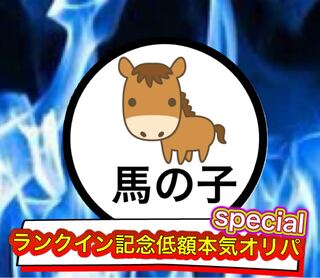 ランクイン記念低額本気オリパspecial(15)即購入用