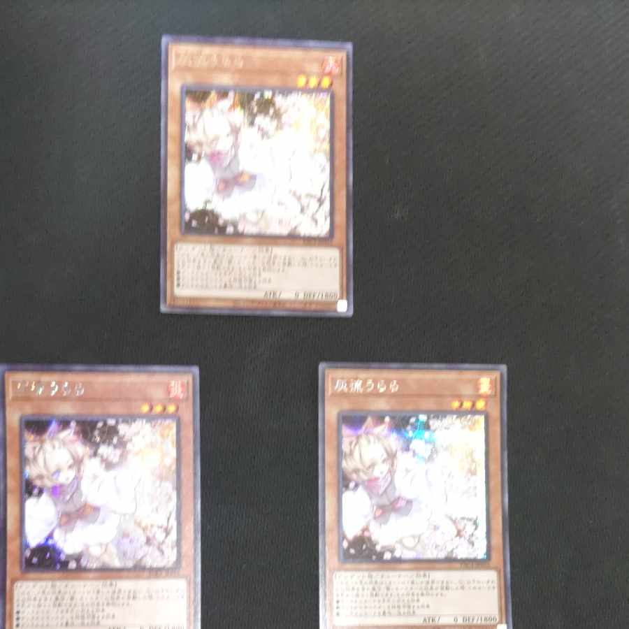 Ash Blossom & Joyous Spring Secret 3 cards (1 of them cross-eyed)