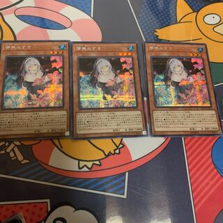 遊戯王　レアリティコレクション　儚無みずき　3枚セット