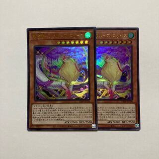 華信龍-ノウルーズ・エリーズ ウルトラレア 1枚