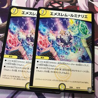 エメスレムルミナリエ 2枚