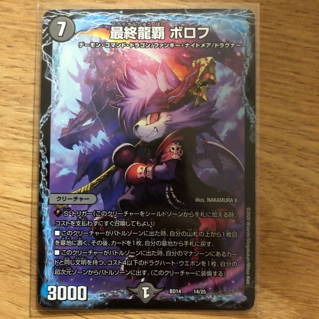 Final Dragon Heights Borov 14/25