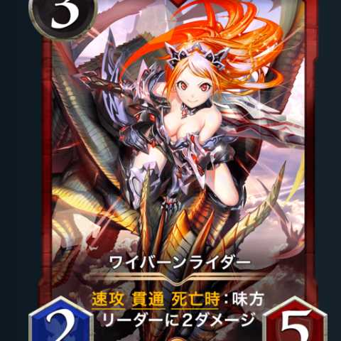 ワイバーンライダー