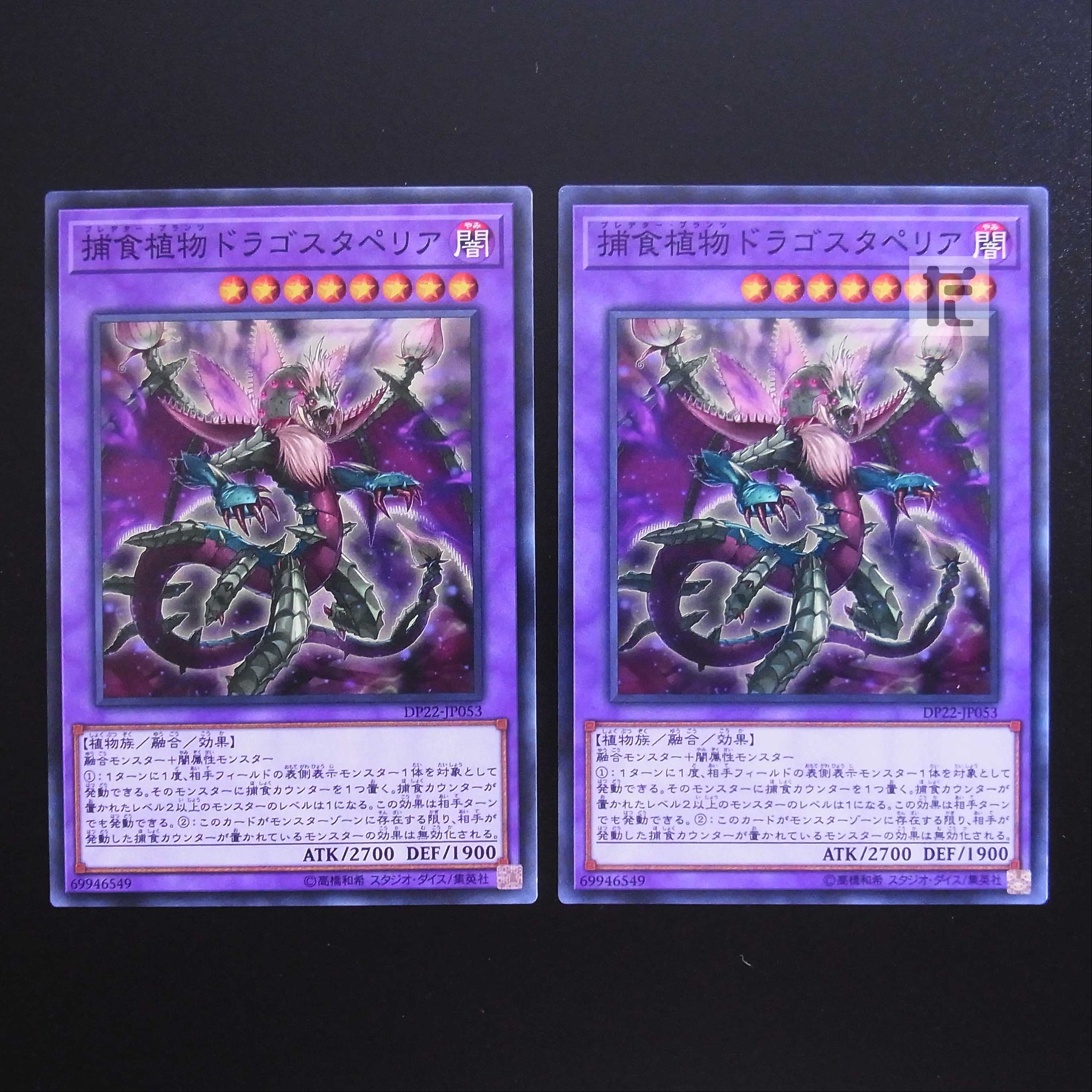 Predaplant Dragostapelia normal, set of 2 / Management:MY0483