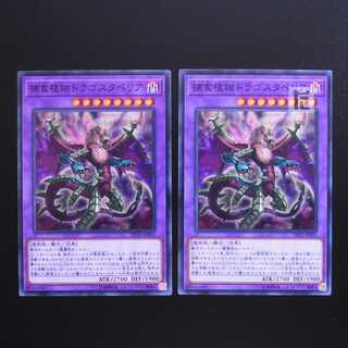 Predaplant Dragostapelia normal, set of 2 / Management:MY0481