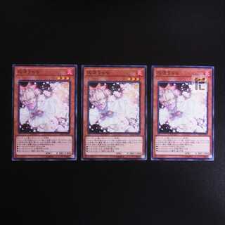 Ash Blossom & Joyous Spring Normal 3-piece set/Managed by MY0449