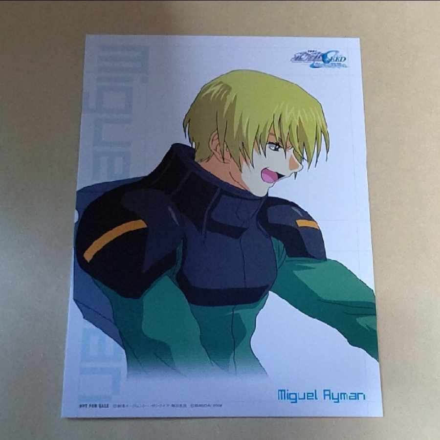 Gundam SEED Miguel