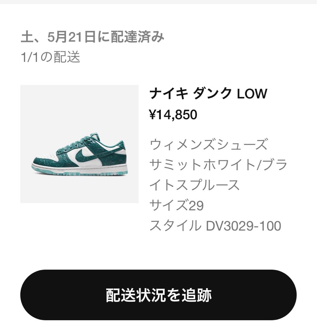 Nike WMNS Dunk Low ocean 29cm