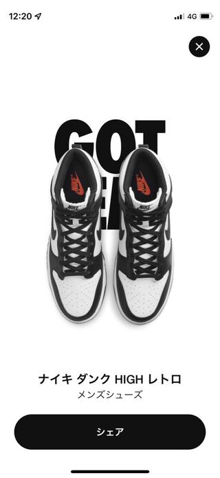 ナイキ　ダンクハイ　パンダ　チャンピオンシップホワイト 28.5cm