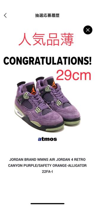 ナイキ ウィメンズ エアジョーダン4 キャニオンパープル 29cm