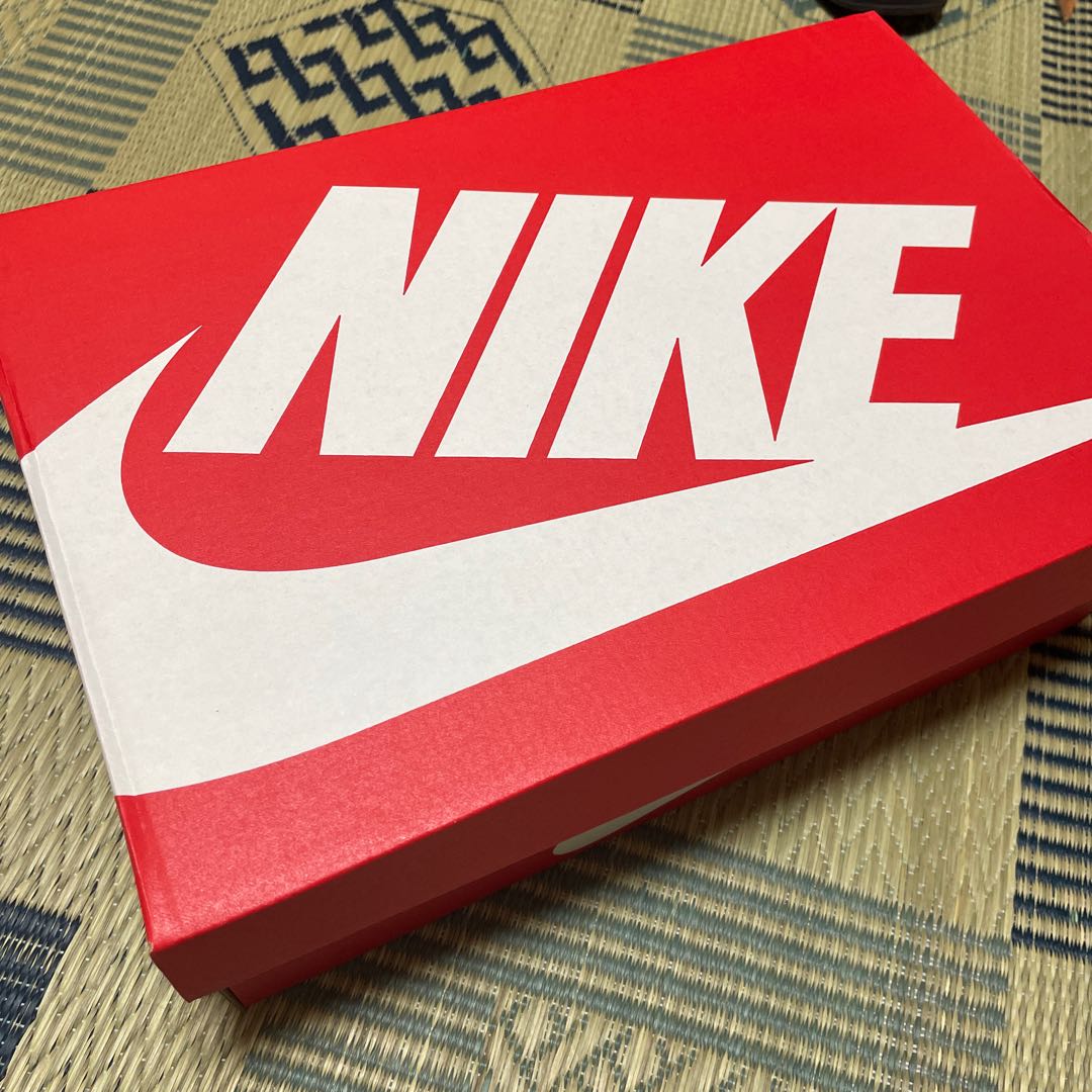 NIKE DUNK LOW RETRO 28cm