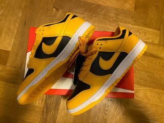 Nike Dunk Low "Championship Goldenrod" ナイキ ダンク ロー "チャンピオンシップ ゴールデンロッド" 25.5cm