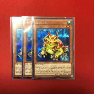 鬼ガエル シク 3枚 レアコレ