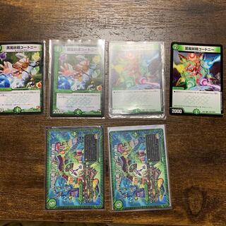 コートニー ズンドコ晴れ舞台