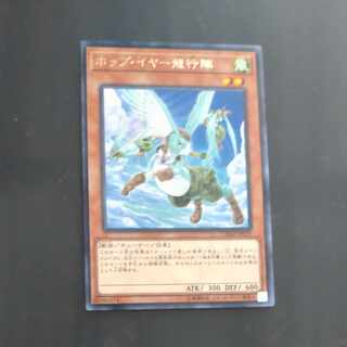 Hop Ear Squadron rare JP029 [Mokurindo