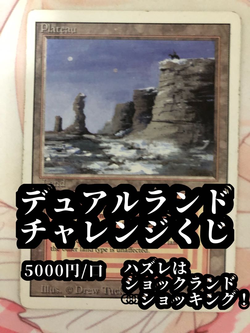 【販売終了】デュアルランドチャレンジくじ