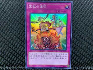 【ぽぽたん】遊戯王 -717 霊獣の連契 スーパー