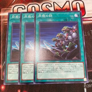 同胞の絆　ノーマル　3枚