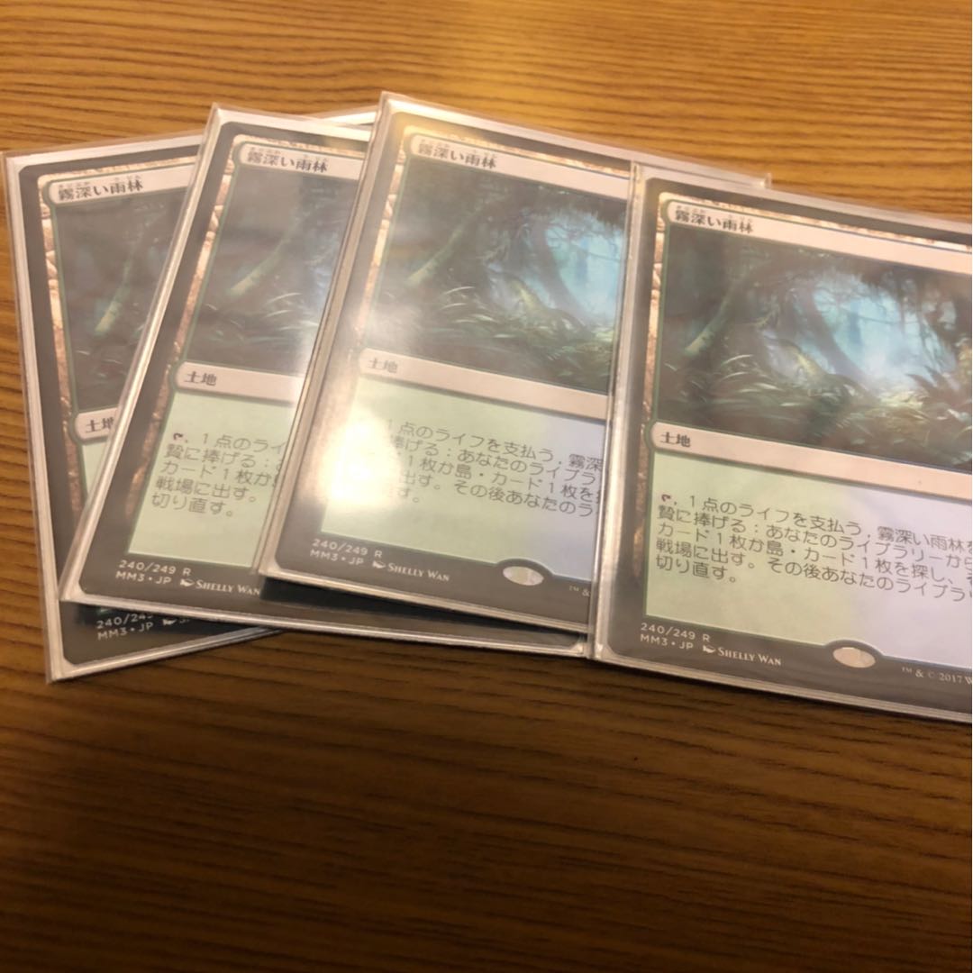 霧深い雨林　4枚